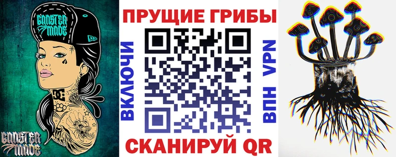Псилоцибиновые грибы мицелий  закладки  кракен ONION  Лабинск 